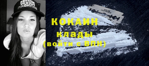 ешки Алексеевка