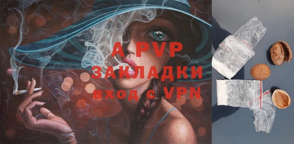 apvp Алексин