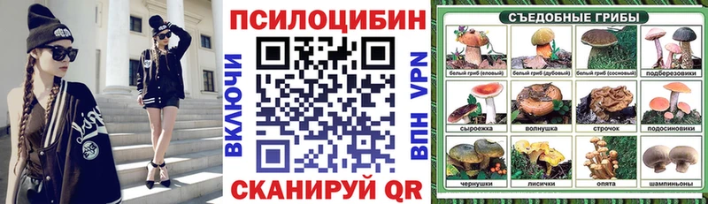 Псилоцибиновые грибы GOLDEN TEACHER  наркошоп  Жирновск 